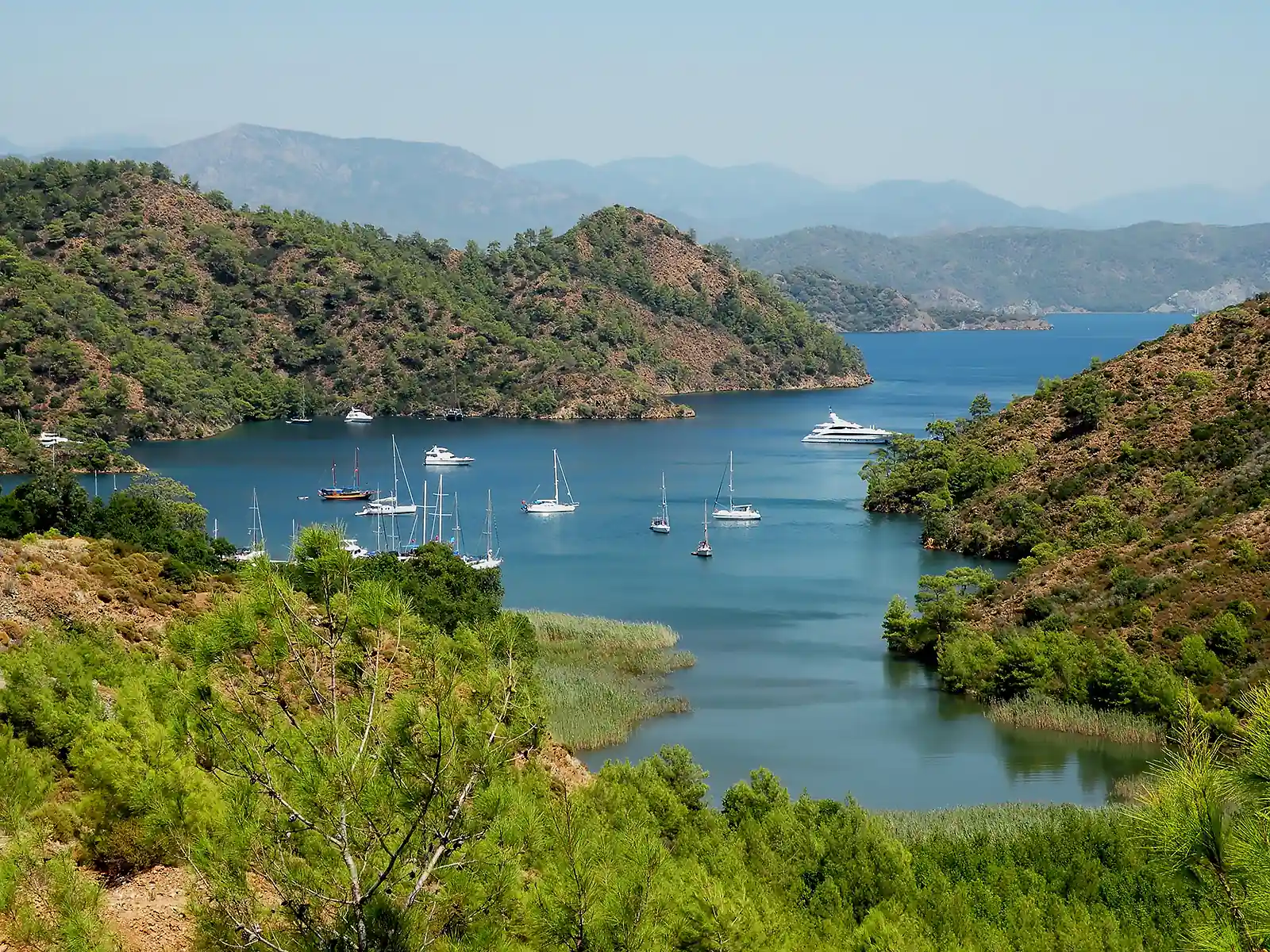 Çam ormanlarıyla çevrili Göcek Boynuzbükü Koyu'nun tepeden görünümü.